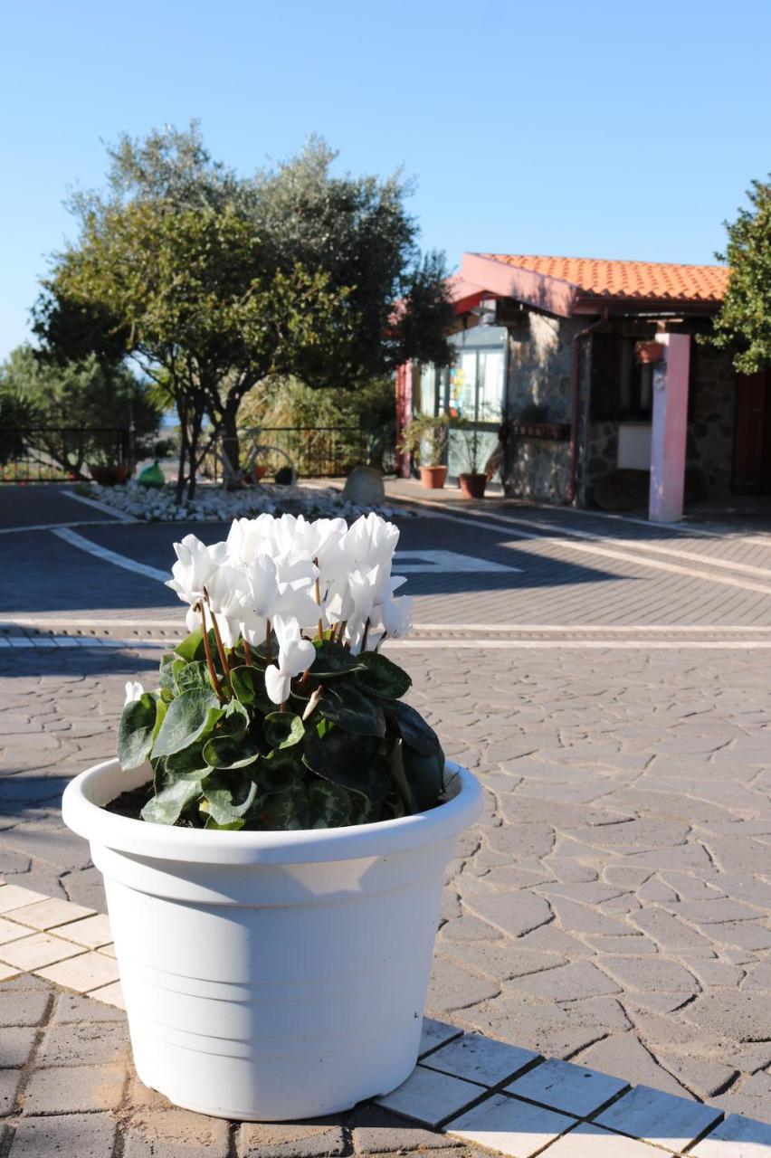 La Rosa Dei Venti Hotell Sennariolo Exteriör bild